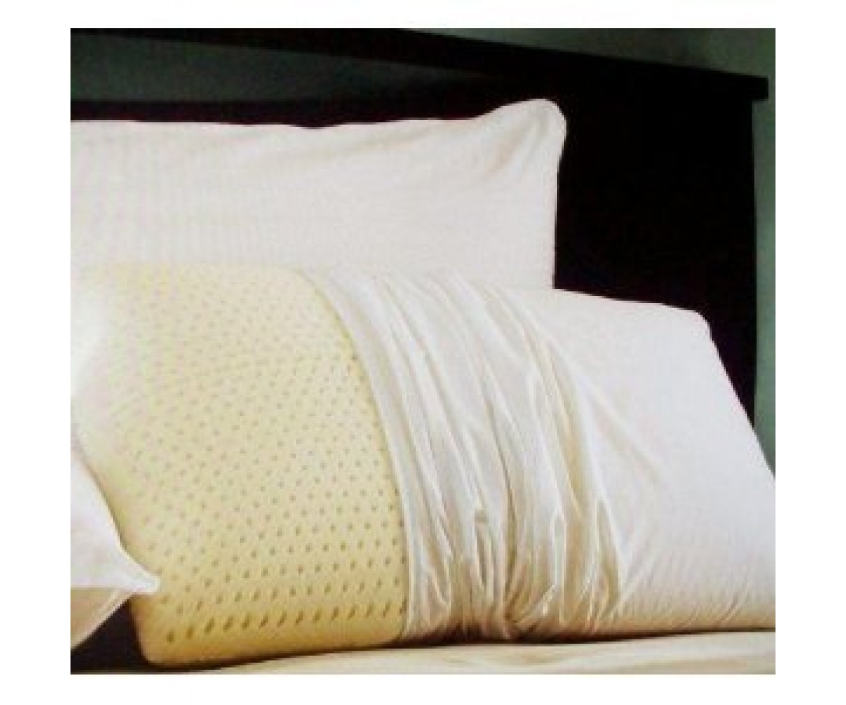 Beautyrest latex foam pillow king online