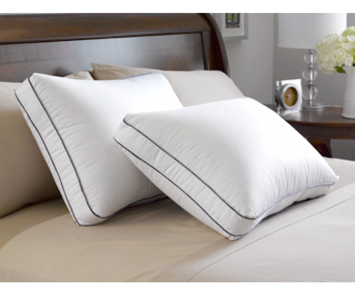Pacific coast goose down pillow online