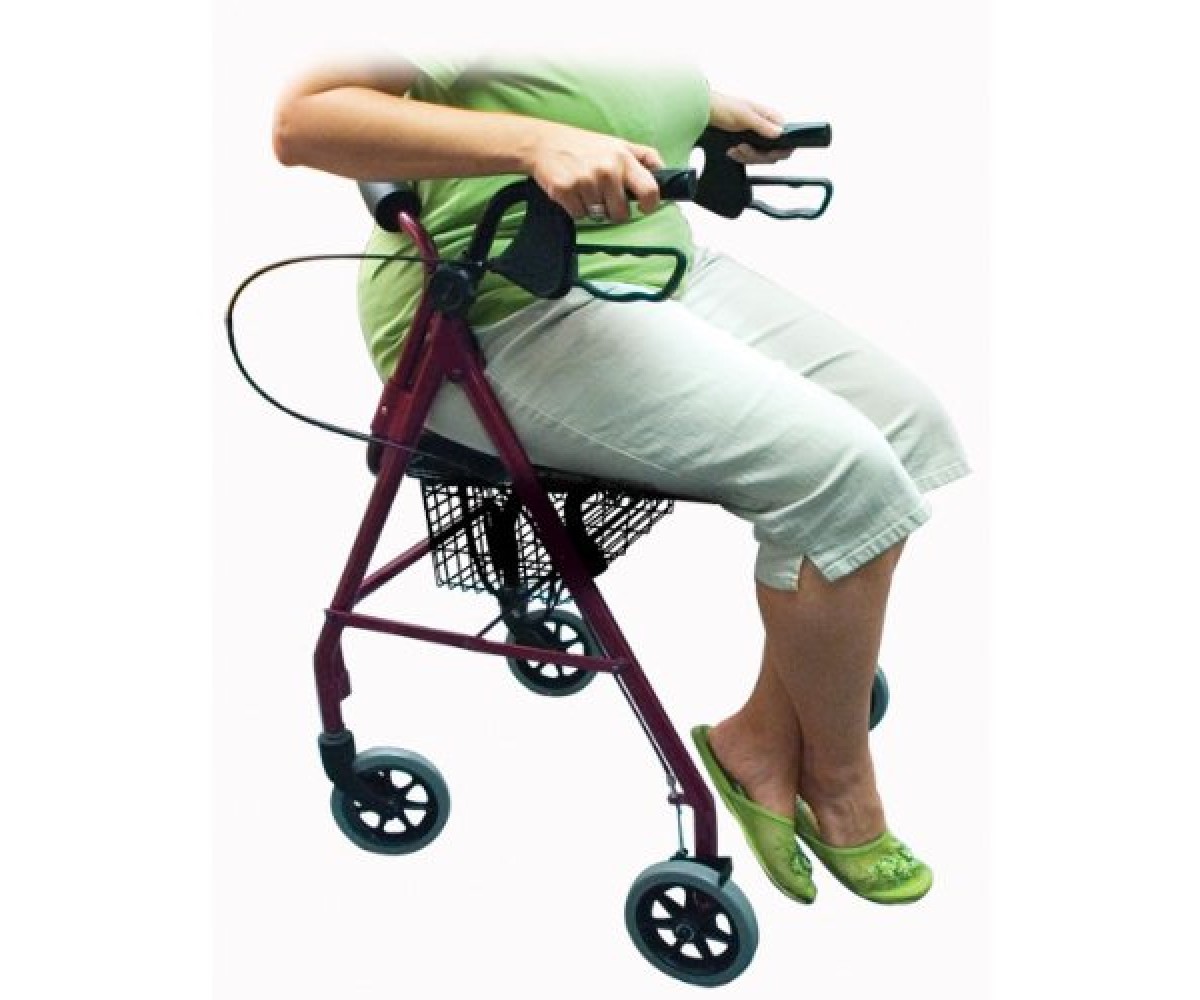 Rollator with Fold Up and Removable Back Support