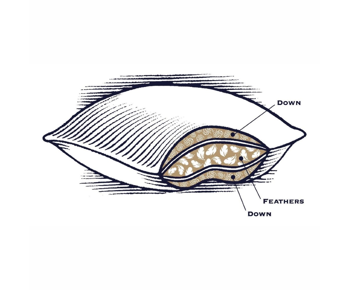 Pacific Coast Feather Double Downaround Pillow Standard