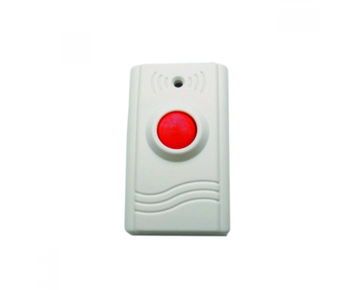 remote control car open the door