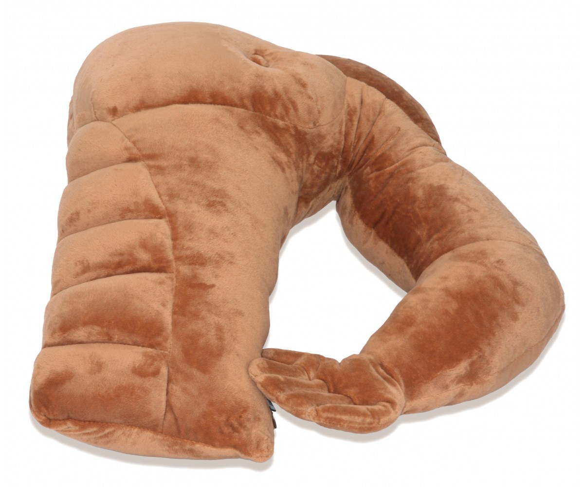 Boyfriend Pillow Companion Pillow