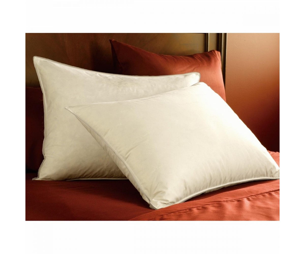 Ritz-Carlton Pacific Coast Double Down Surround Pillow Set (2 Standard Pillows)