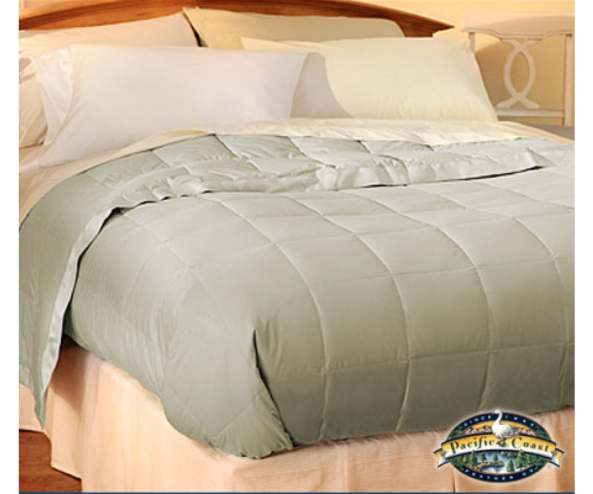 Pacific coast 2025 down blanket