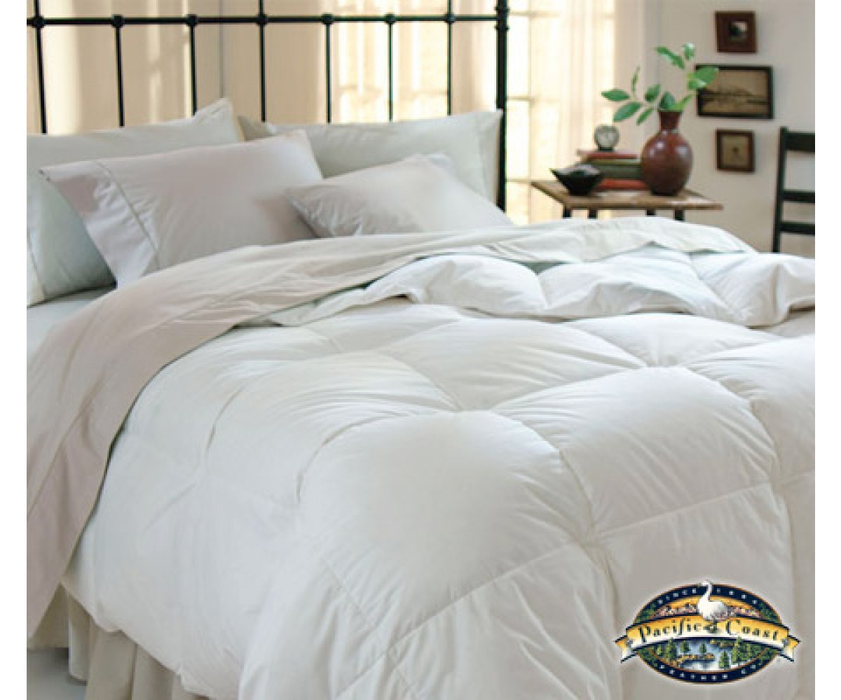 Pacific coast feather duvet online