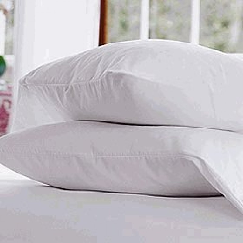 DeluxeComfort.com Pacific Coast Double Down Around ...
