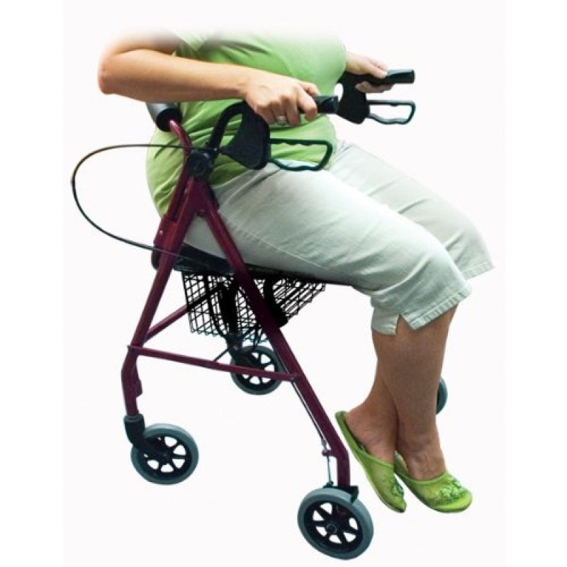Rollator with Fold Up and Removable Back Support