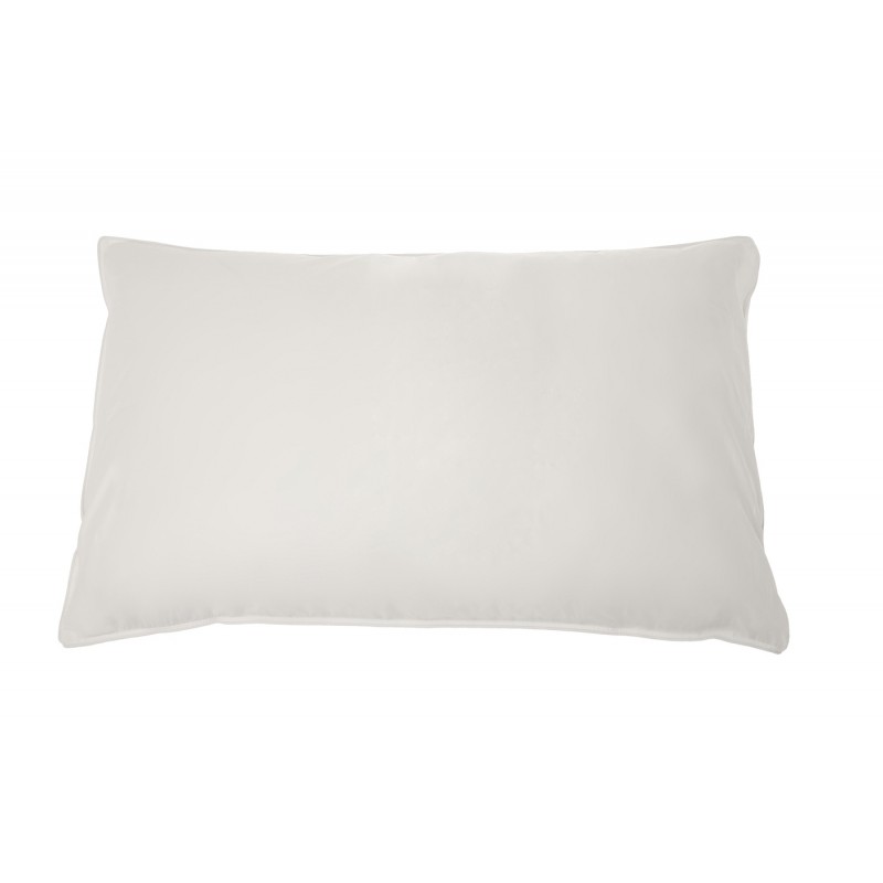 Pacific Coast Allerrest Pillow Protector Queen And Three Chamber