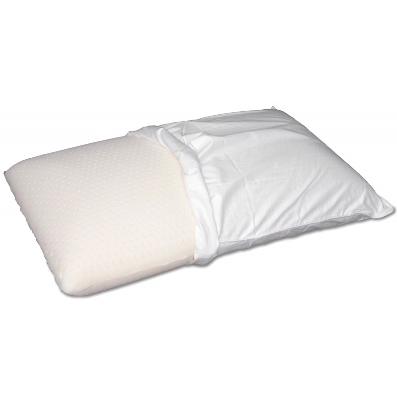 beautyrest talalay latex plush support pillow
