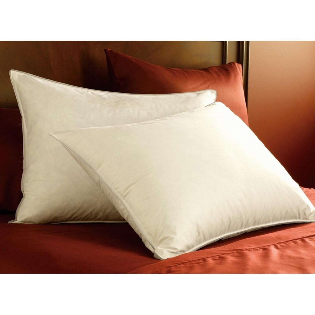 Queen Pacific Coast Feather Double Down Around Pillow 