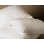 Easy Loft Comfy Pillow - Queen