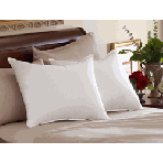 Pacific Coast Slumber Core Pillow