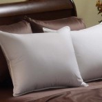 Pacific Coast Down Chamber Pillow