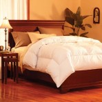 Pacific Coast Feather Superloft Down Comforter