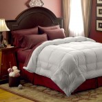 Pacific Coast Feather Medium Warmth Down Comforter