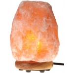 WBM Himalayan Light #1002 Natural Air Purifying Himalayan Salt Lamp with Neem Wood Base, Bulb and Dimmer switch