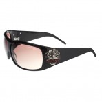 EHT-910 Sunglasses