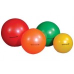 Dynatronics Burst Resistant Exercise Ball Orange 55cm