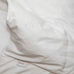 300TC Fall Weight White Goose Down Comforter