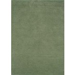 Henley Cactus Solid Rug