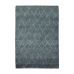 Modern Classic Hand Knotted Shag Isabella Wool Rug Gray - Ivory - 4' x 6'