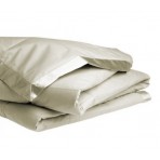 Pacific Coast Down Blanket - White - King