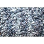 Shag Eyeball Blue Multi 10' x 13' Rug