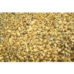 Shag Eyeball Gold 9' x '12 Rug