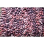 Shag Eyeball Purple Multi 10' x 13' Rug