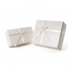 Gift Box with Ribbon