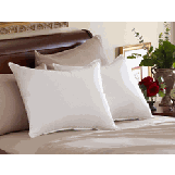 Slumber 800TC Hypodown Core Pillow - Queen  White 800-Fill Soft Goose Down Pillow (Queen  20" X 30")