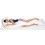 Long Straight Body pillow with cover