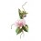 Bovano Enamel Wall Art Home Orchid Pink Moth Flower