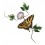 Bovano Enamel Home Wall Art Tiger Swallowtail Butterfly